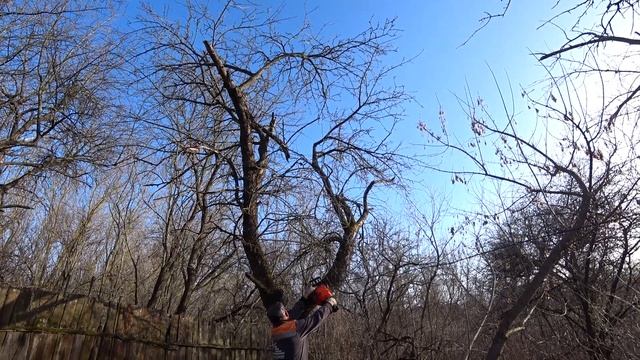 Пилим старый сад. смотреть онлайн