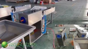 Машина для ножевой очистки моркови (500 кг/час) - Vega KPel 500 (32 лезвия)