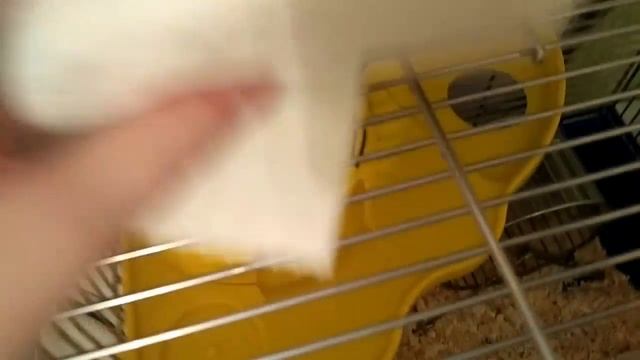 Сломалась поилка?. смотреть онлайн