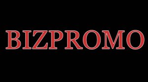 BizPromo - a tool to promote a business online INFINITELY