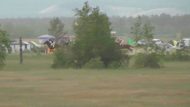 Скаковой день 29 июня. Дистанция 1000 м. Губернатор смотреть онлайн