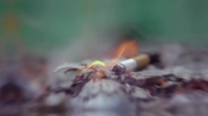 Не допусти лесной пожар!