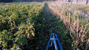 Самодельная косилка для картофельной ботвы V 20180827 185537