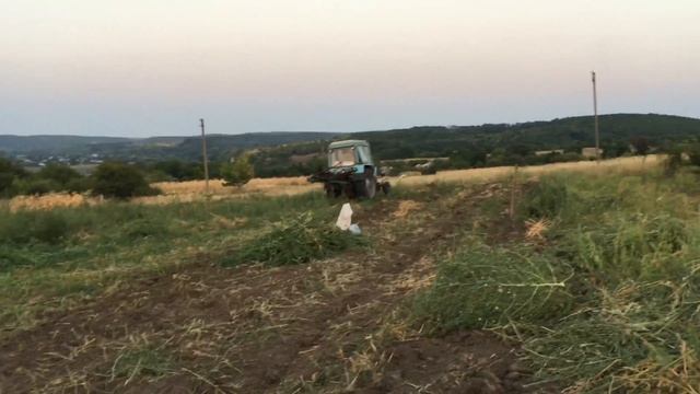 Копка картофеля Плугом! 31.08.2018 смотреть онлайн