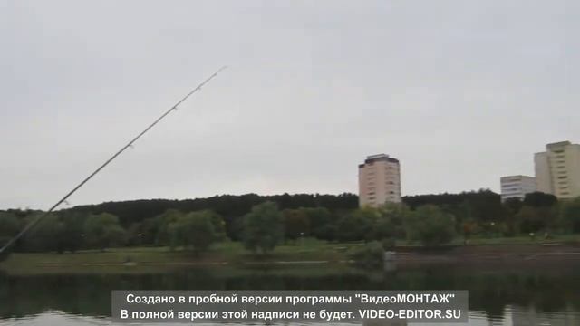 Обзор Карповых удилищ BAZIZFISH Carp ( XIN FEI YA ) смотреть онлайн