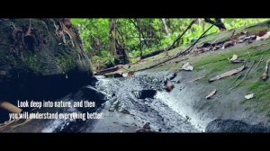 Tripura hill natural vegetation shots || Akash debbarma || The Akash film