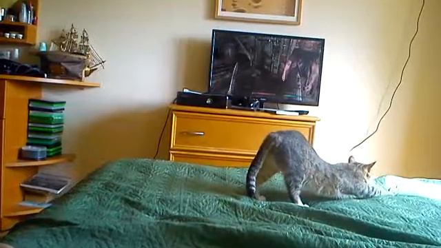 Мой первый летсплей по скайриму смотреть онлайн