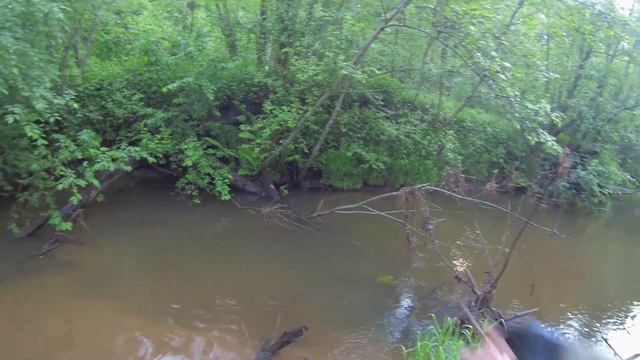 Лесная речка'23. Хариус открытия сезона смотреть онлайн