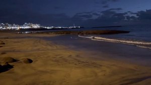 вода в океане сильно ушла от берега во время отлива