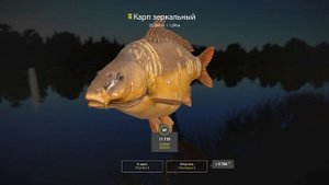 РР4. Озеро Янтарное. Где ловить Карп Чешуйчатый и Карп Зеркальный на КРУПНЫЕ бойлы на точке 83-145!