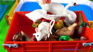 Farm Animal Toys For Kids - Fun Farm Animal Toys