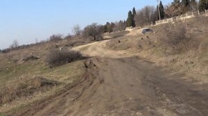 бойные голуби на даче (любительское видео )