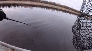 Ловля щуки на течении. Крупная резина