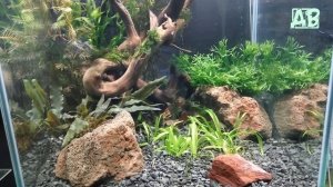 Slivki Show ПОДВОДНЫЙ ТЕРРАРИУМ! НЕСКОЛЬКО СОВЕТОВ ПО ЗАПУСКУ!