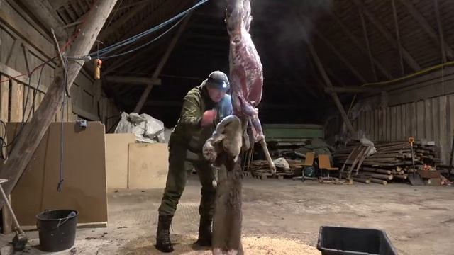 Охота #261 разделка косули смотреть онлайн
