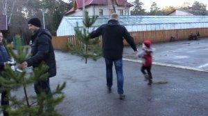 VLOG Мы купили сосну. Катя выступает. Настя заболела. Динамическая гимнастика Алисы на фитболе.