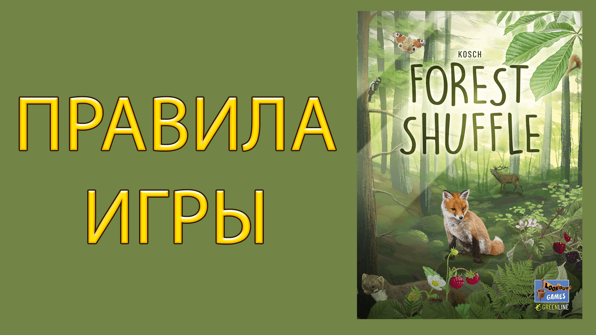 Forest Shuffle ➤ Настольная игра ➤ ПРАВИЛА