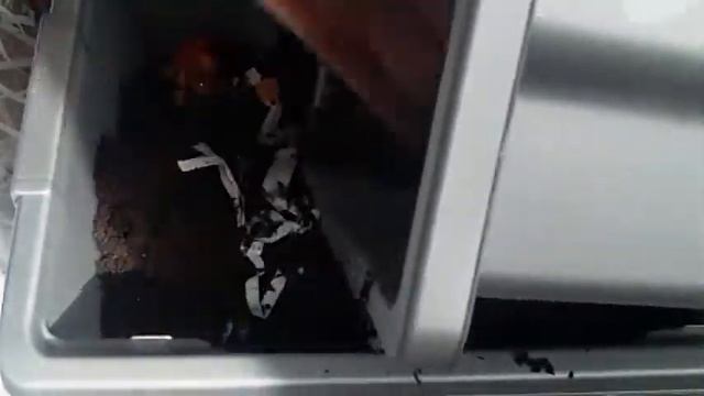 DIY Wormery part 2 смотреть онлайн