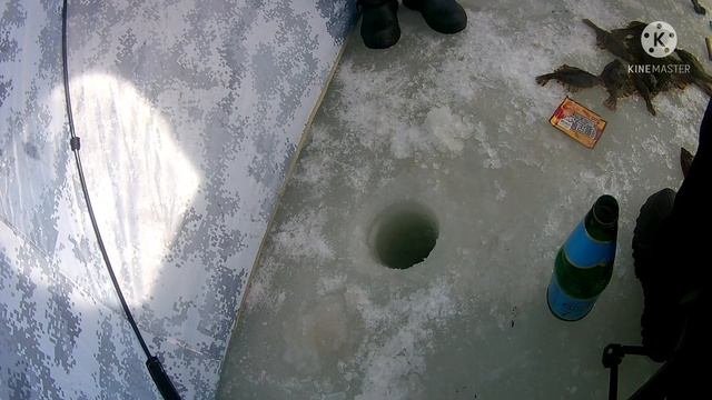 Зимняя морская рыбалка сезон 2022, дикий клёв камбалы ?