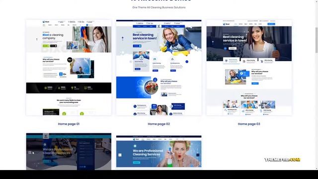 Bixol - Cleaning Services WordPress Cleaning Service floor cleaning Mizuho