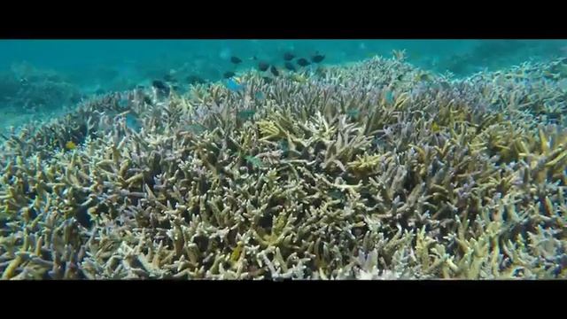 Вода источник жизни