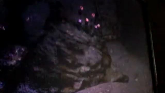 A day innnnnn Forgotten Vale смотреть онлайн