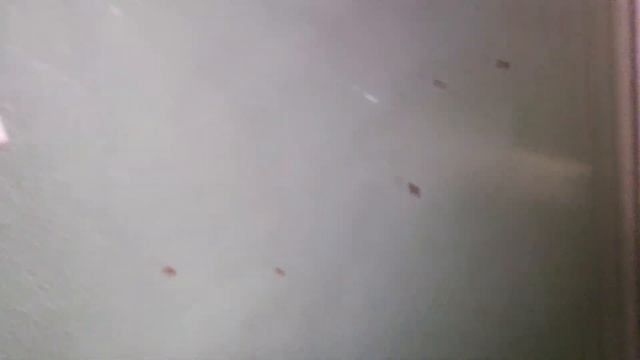 Лифт ЩЛЗ 400кг 2008 г.в. и Лифт КМЗ 1990 г.в. по адресу г. Ставрополь ул. Тухачевского 121