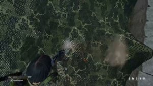 Играем в Dayz  на Ps4