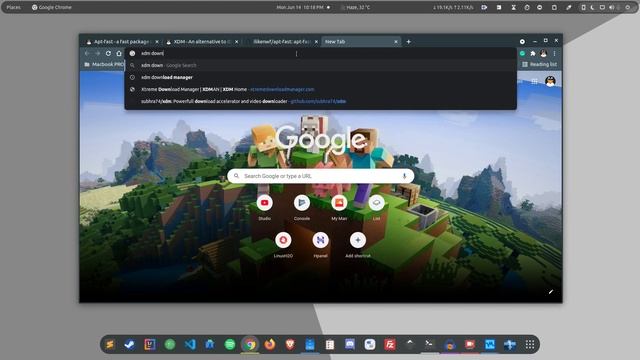 XDM - A better IDM alternative for Linux смотреть онлайн