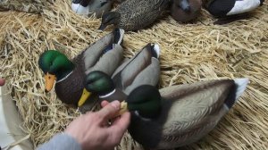 Выбираем чучела для охоты- сминаемые - американские - премиальные