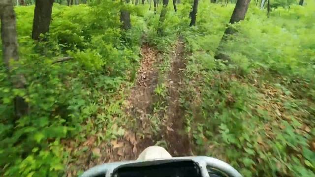 дорога домой после дачных забот смотреть онлайн