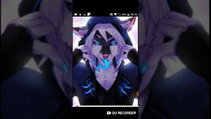 Кто ты по имени из фурри