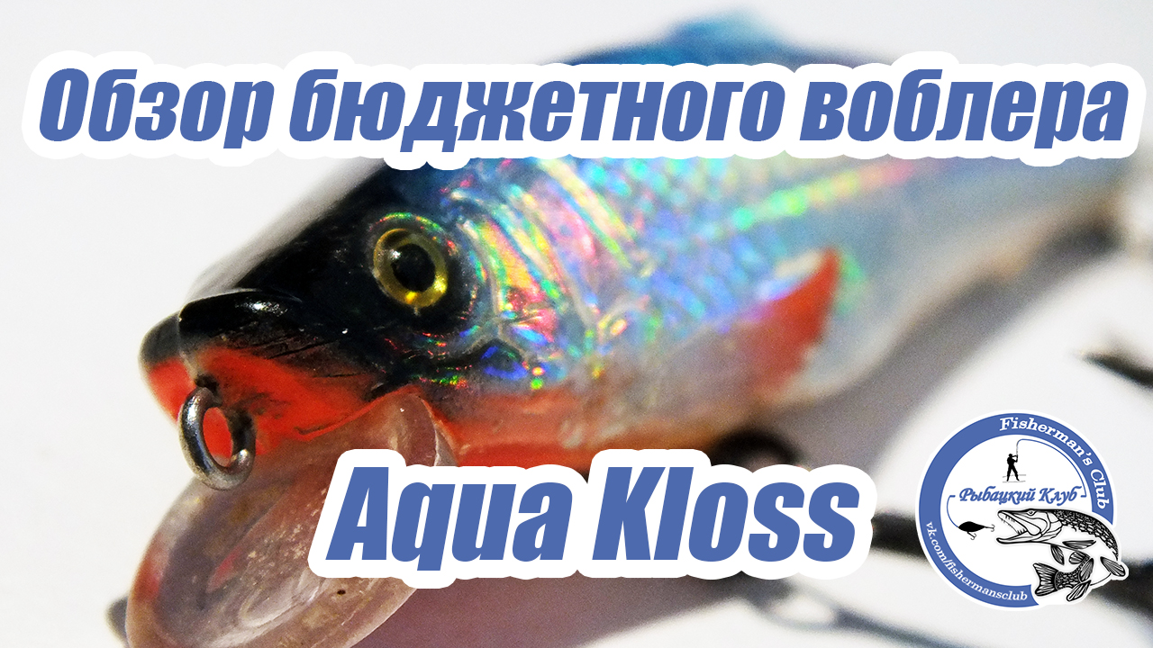 Обзор бюджетного воблера Aqua Kloss.