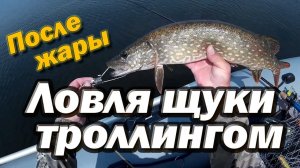 Ловля щуки троллингом после жары