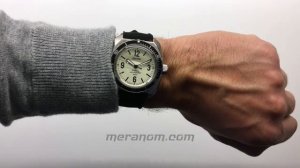 Vostok Amphibia SE 710557