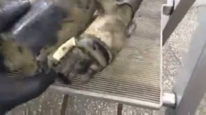 Замена силового жгута проводов для стартера и генератора 8K0971228C  на Audi A4 В8 Avant