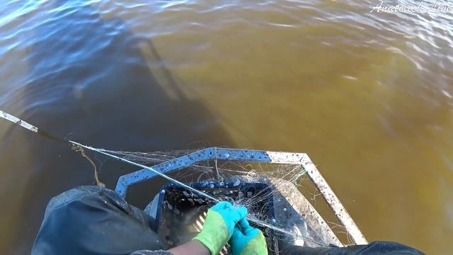 ЧТО ЛОВЯТ СЕТЯМИ В СИБИРИ... Рыбалка как работа! Ловля сетями вместе с промысловиками! Осень 2020.