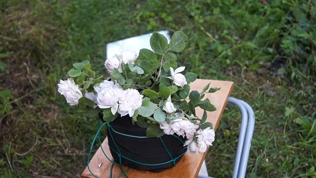 Подвесное кашпо плетеное из веревки для цветов 5 Узлов 2 Ручки своими руками Do-it-yourself смотреть онлайн