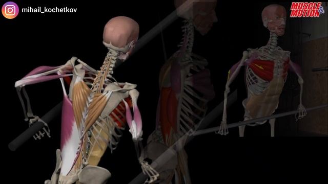 Выход на две киппингом (махом) смотреть онлайн