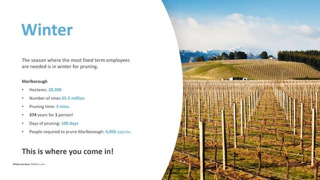 Viticulture Careers 1 - The opportunities смотреть онлайн