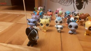 lps. выбираю лпс для правда или действие с помощю кубика