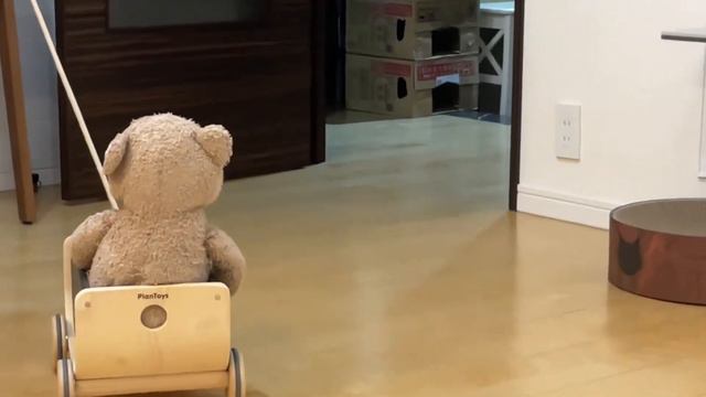 ワゴン納車！短足マンチカンは無事に乗りこなせるのか？？？ смотреть онлайн