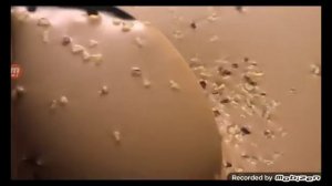 россия щедрая душа реклама 2017