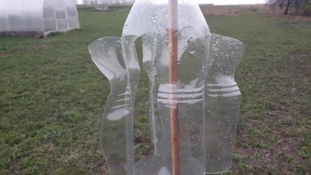 Как избавиться от кротов на дачном, садовом участке. Провожу второй эксперимент смотреть онлайн