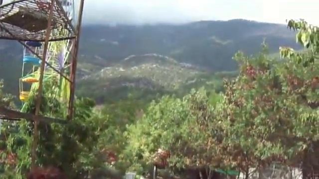 Зоопарк Ялта Крым смотреть онлайн