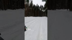 Мотособака с лыжным модулем (1)
