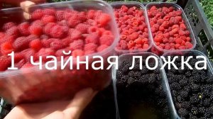 Самый вкусный компот. Как сделать компот на зиму. Классические пропорции для компота