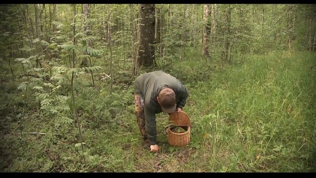 Озеро Волго. В гостях у Грин Голд Парка. смотреть онлайн