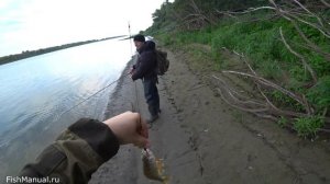 Последняя осенняя рыбалка. Обзор осенних рыболовных выездов. Ловля щуки, налима, нельмы на Иртыше.