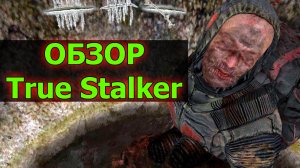 Обзор модификации True Stalker Тру Сталкер